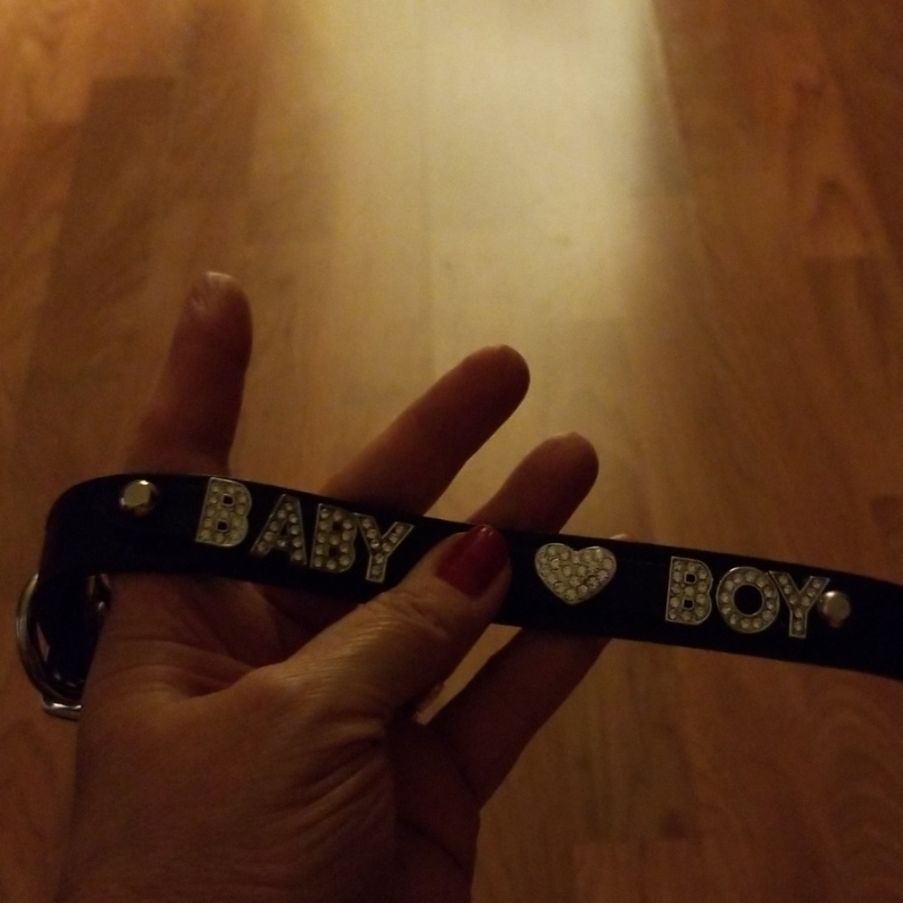 Dog collar